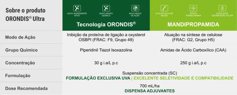 Tabela de opções de tecnologia e manejo, com cabeçalho verde e fundo branco.