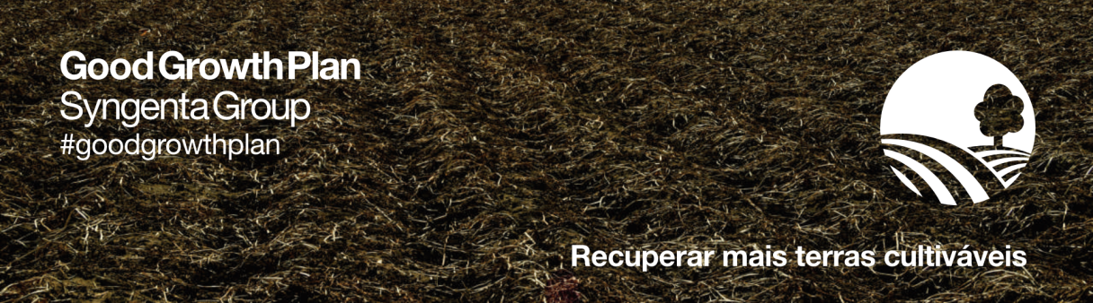 Imagem ilustrativa de uma terra arada sem plantas e degradada