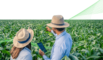 Cropwise cresce 235% no mercado nacional de cana.