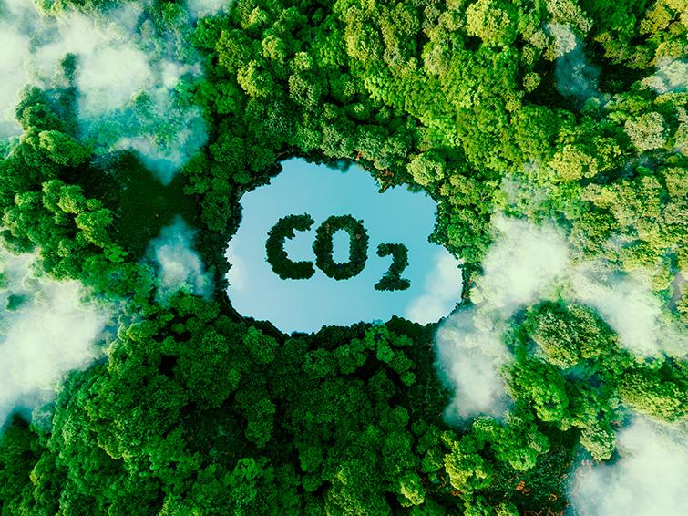 sumidouro de co2