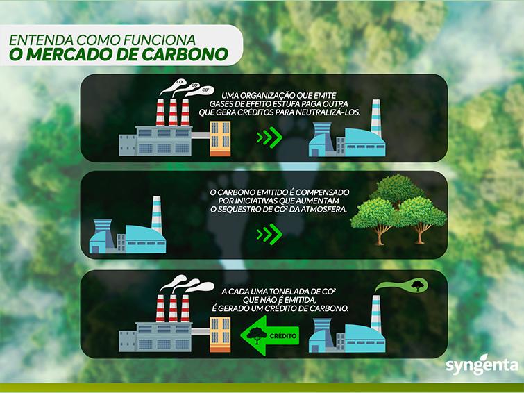 como funciona o mercado de carbono