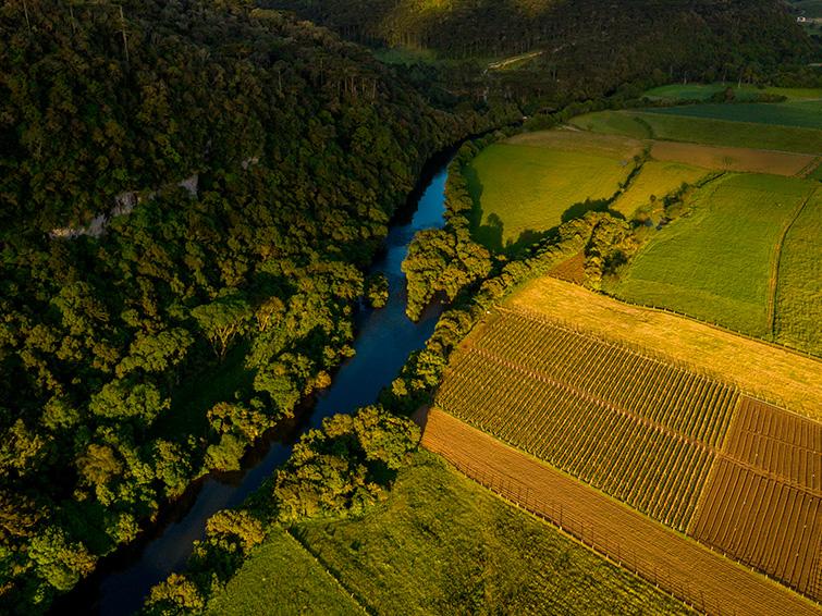 agricultura regenerativa