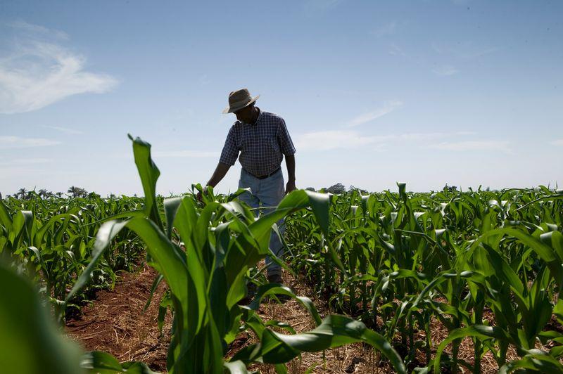 diadoagricultor2
