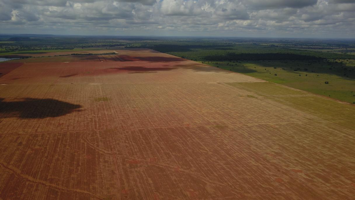 Fazenda no município de Jussara (GO) atendida pelo Reverte. O programa da Syngenta já atingiu o marco de 180 mil hectares