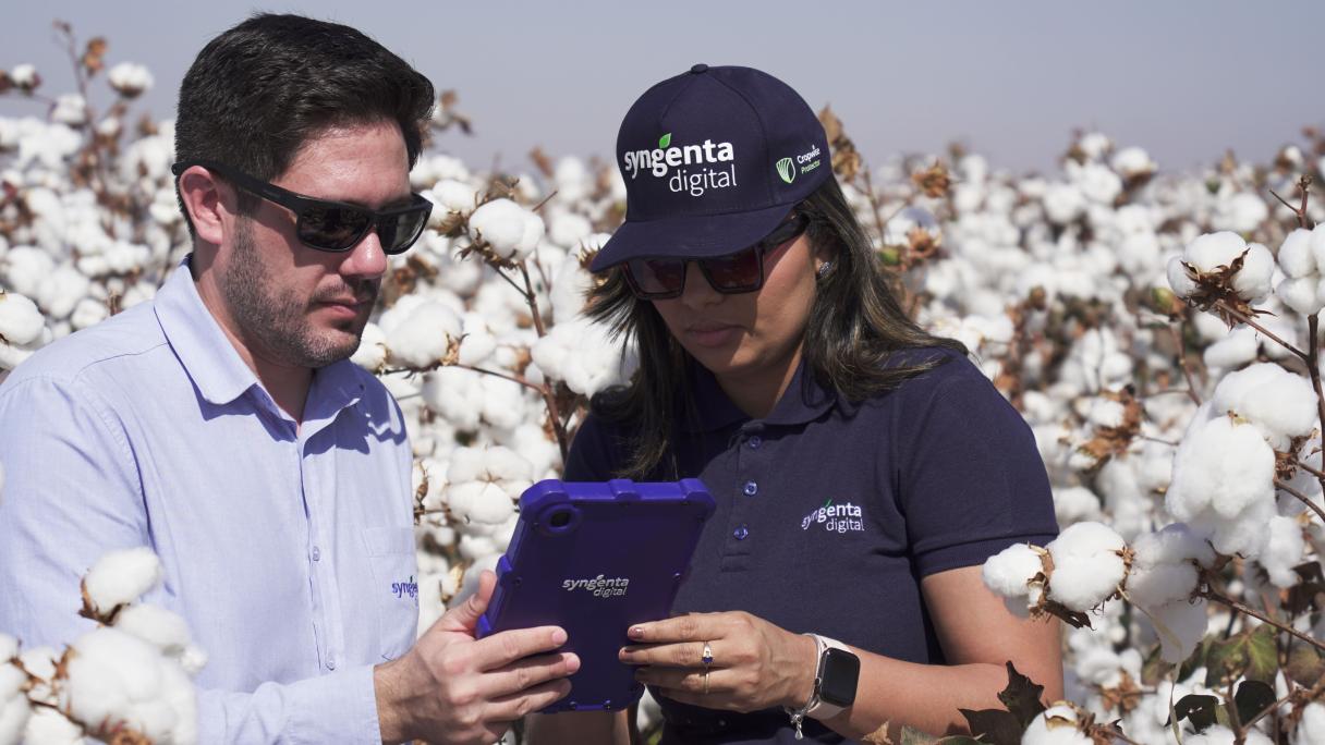 Cropwise no campo