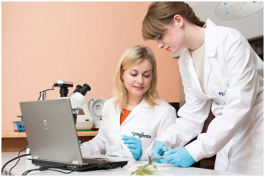 Laboratorio Syngenta