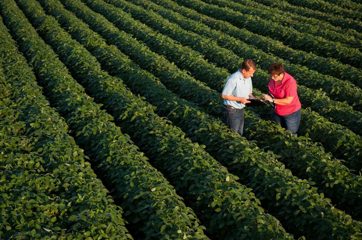 Cropwise Grower, iniciativa da Syngenta com tecnologia de IA Generativa, é vencedora do Prêmio internacional GenAI Zürich