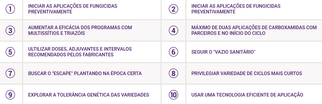 Lista com 10 princípios para o manejo de doenças na cultura da soja.