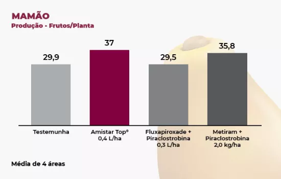 Gráfico que apresenta a produção de frutos por planta de mamão com diferentes tratamentos fungicidas.
