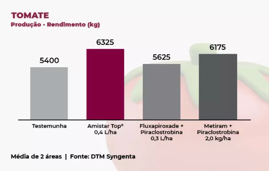 Gráfico que apresenta a produção e o rendimento do tomate com diferentes tratamentos fungicidas.