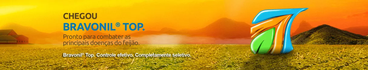 Banner com paisagem e logotipo do Bravonil Top