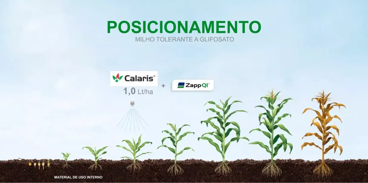 Banner de posicionamento com plantas em crescimento e rótulos de calorias e energia
