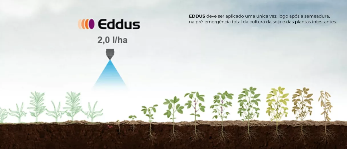 Gráfico mostrando posicionamento do eddus na plantação de soja