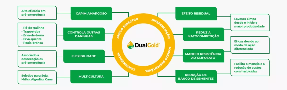 Infográfico: Os benefícios da Duas Gold