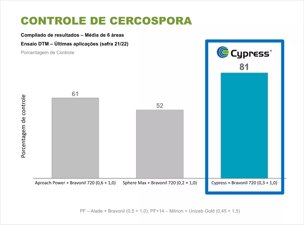 Gráfico de barras de controle de cercospora; Cypress 81 com maior percentual de controle.