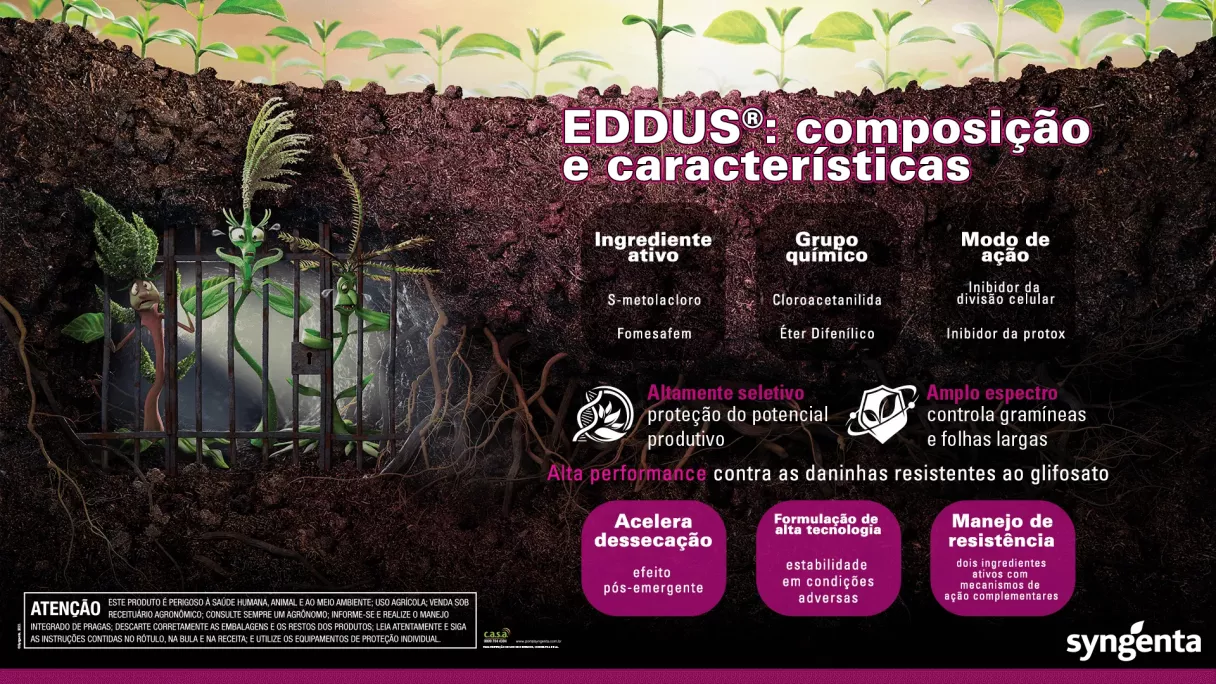 imagem do solo mostrando composição e características da eddus