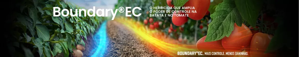 Banner do Boundary® EC destacando seu uso como herbicida para ampliar o controle de plantas daninhas nas culturas de batata e tomate.