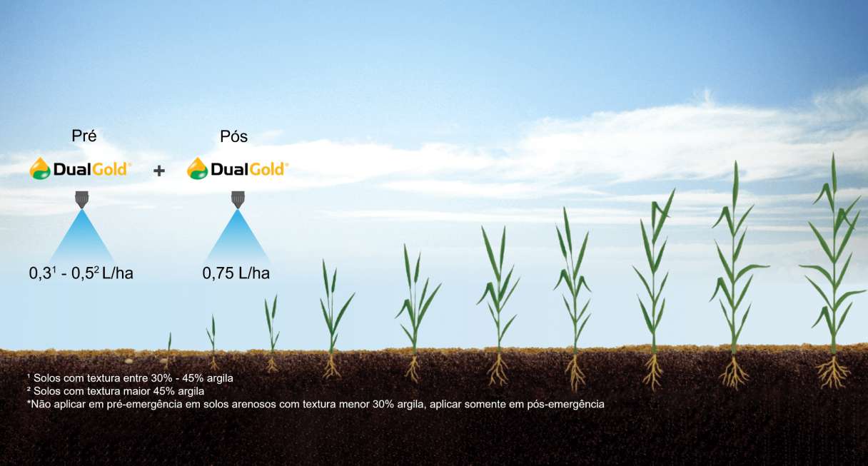 Ilustração de plantas crescendo com o uso do Dual Gold
