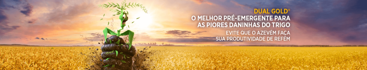 Banner ilustrativo do Dual Gold Trigo