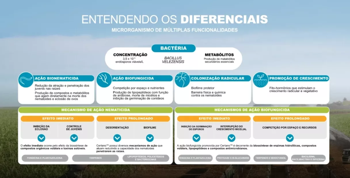 Banner com paisagem ao fundo e tabela comparativa com os mecanismos de ação do produto Certano