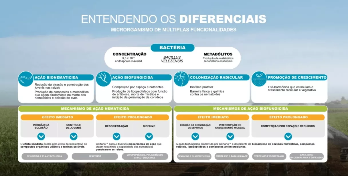 Banner com fundo azul e campo, trazendo os diferenciais do Certano