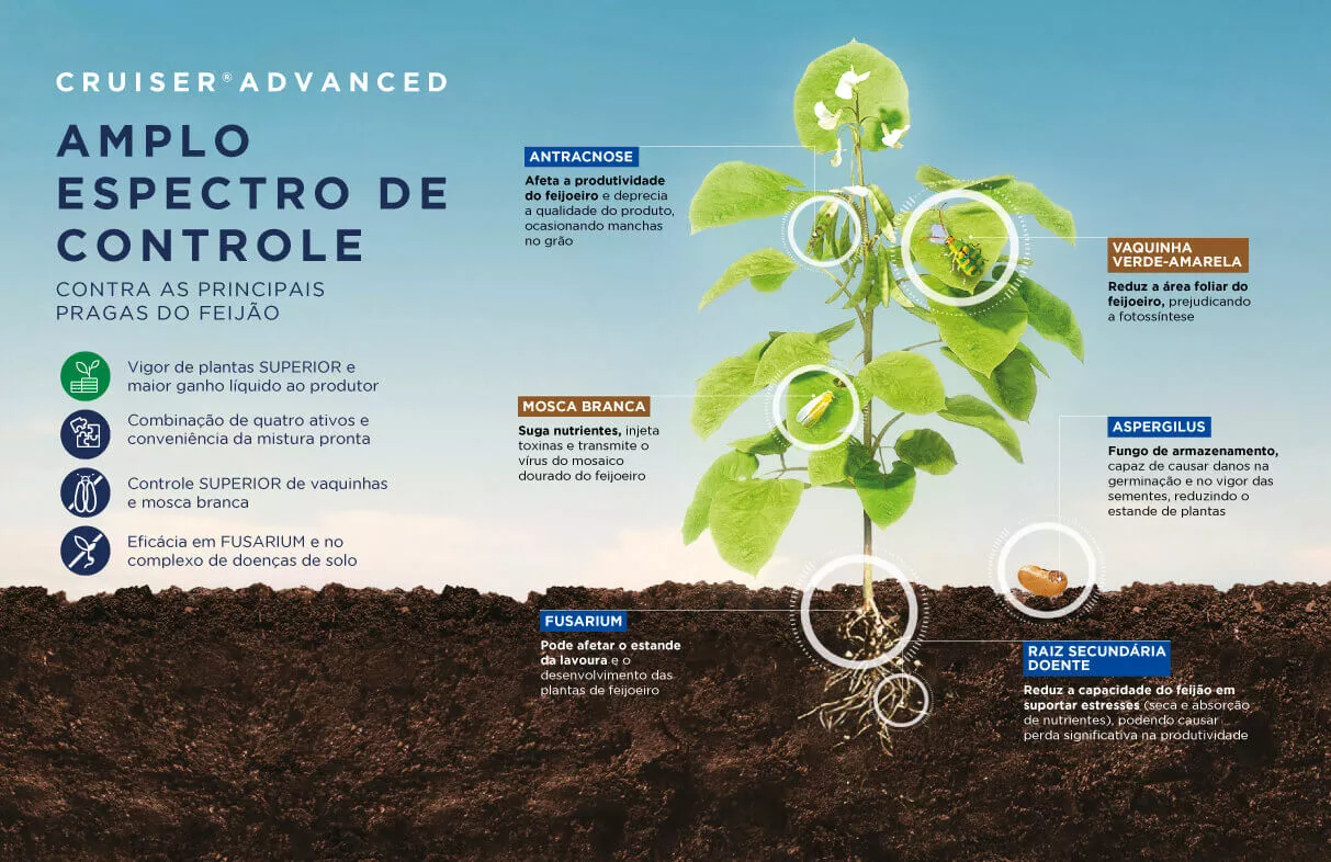 Infográfico de planta com raízes, destacando controle de pragas no solo e na folha