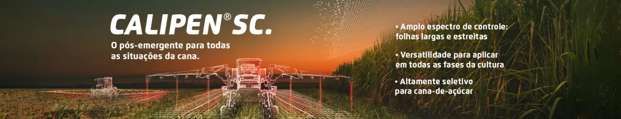 Banner do produto Calipen SC, com paisagem rural ao entardecer no fundo