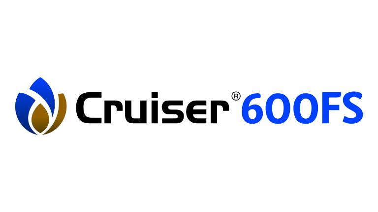 Cruiser 600